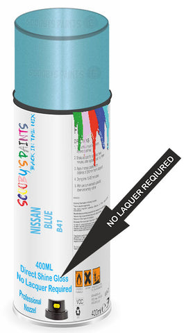 paint for Nissan March
