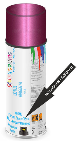 paint for LOTUS 