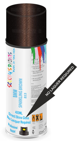 paint for Bmw X5