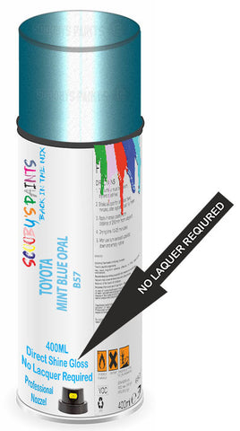paint for Toyota Bb