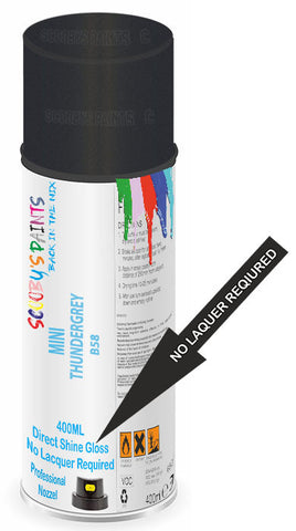paint for Mini One First