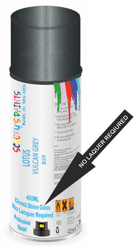 paint for LOTUS 