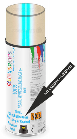 paint for LOTUS 
