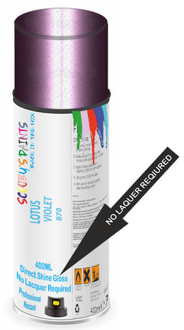 paint for LOTUS 