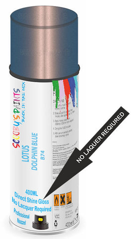 paint for LOTUS 