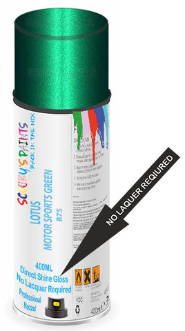 paint for Lotus Elise