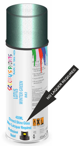 paint for LOTUS 
