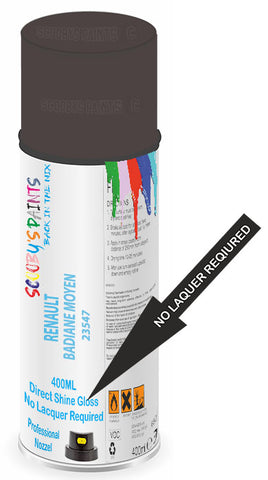 paint for Renault Master
