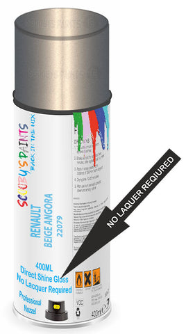 paint for Renault Twingo