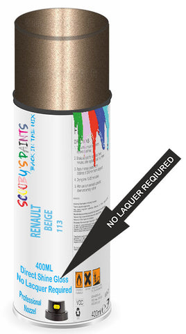 paint for Renault R5