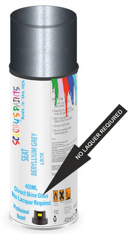 paint for Seat Toledo
