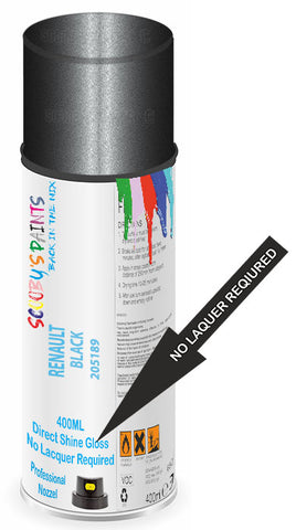 paint for Renault Twingo