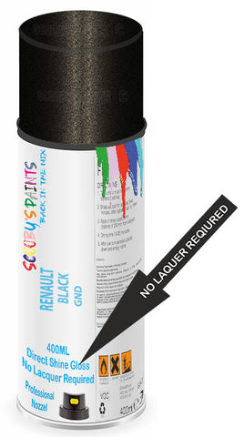 paint for Renault Latitude