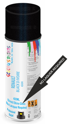 paint for Renault Latitude