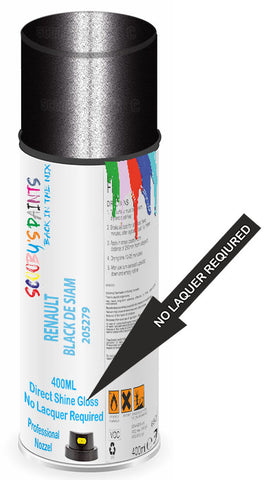 paint for Renault Megane