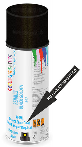 paint for Renault Megane Sport