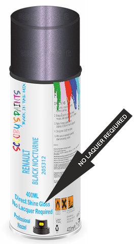 paint for RENAULT MODUS