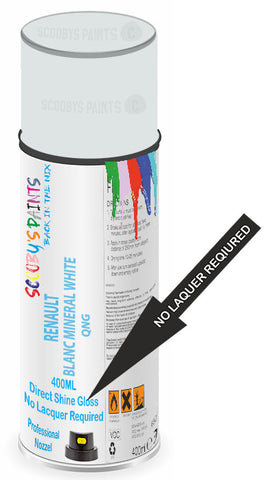 paint for Renault Master