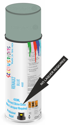 paint for Renault R25