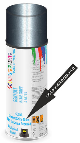 paint for Renault Twingo