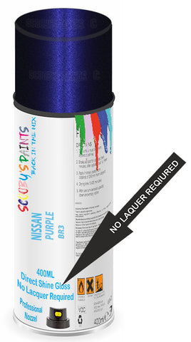 paint for Nissan Dayz Roox
