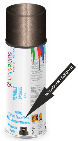 paint for Renault R16