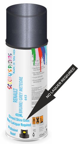 paint for Renault Twingo