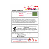 BS381C-218 Grass Green Customise Paints for Your Bike,Bicycle Colour Ideas, Trike Colours
