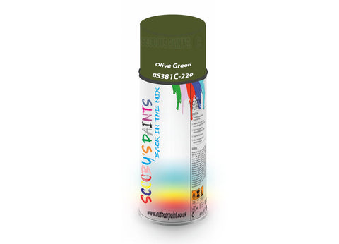 Olive Green Bs381C220 Window Door Aerosol Spray Paint Pvc And Upvcgreen Spray