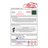 Dent repair paint,restore your windows and doors,door colour ideas, ral spray paint, british standard spray paint, paint for upvc and pvc plastic windows and doors BS381C226 Mid Brunswick Green adhesive spray paint