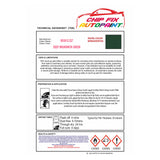 Dent repair paint,restore your windows and doors,door colour ideas, ral spray paint, british standard spray paint, paint for upvc and pvc plastic windows and doors BS381C227 Deep Brunswick Green adhesive spray paint
