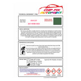 Dent repair paint,restore your windows and doors,door colour ideas, ral spray paint, british standard spray paint, paint for upvc and pvc plastic windows and doors BS381C267 Deep Chrome Green adhesive spray paint