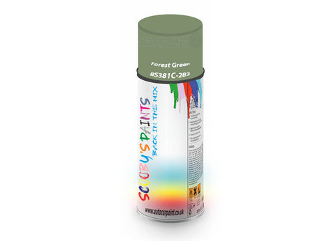 Forest Green Bs381C283 Window Door Aerosol Spray Paint Pvc And Upvcgreen Spray