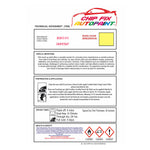 Plastic Paint for PVC Windows and doors BS381C-315 Grapefruit
