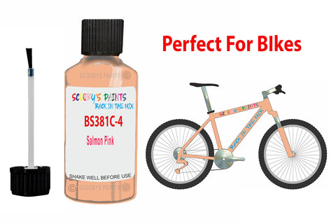 Bs381C 447 Salmon Pink Bicycle Frame Acrylic Pink Metal Bike Touch Up Paint