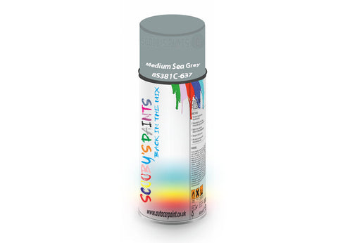 Medium Sea Grey Bs381C637 Window Door Aerosol Spray Paint Pvc And Upvcsilver-Grey Spray