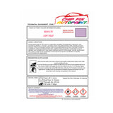 BS381C-797 Light Violet Customise Paints for Your Bike,Bicycle Colour Ideas, Trike Colours