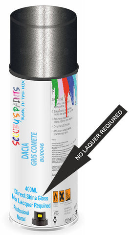 paint for DACIA logan van
