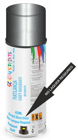 paint for Fiat Ulysse