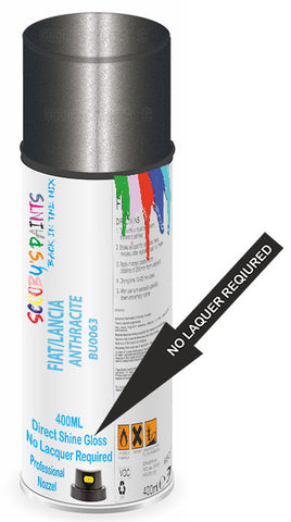 paint for FIAT/LANCIA 
