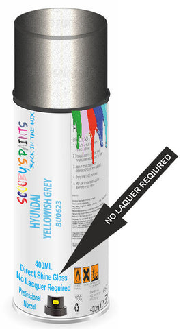 paint for HYUNDAI 