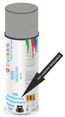 paint for ROVER Toledo