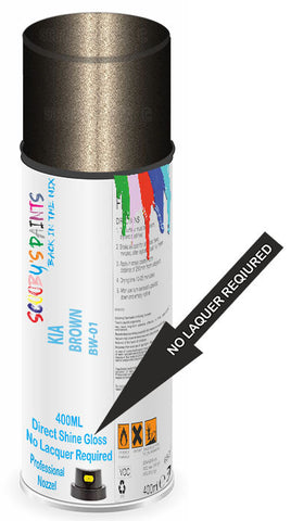 paint for KIA 