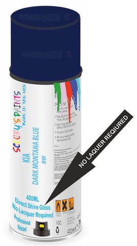 paint for Kia K2700