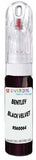 10ml–30ml touch-up kit for Bentley Continental Gtc chips and scratches, precise colour match to Black Velvet Pearl 9560064