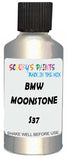 Detail brush applying Beige Metallic to a small door scratch on an Bmw M3, clean OEM finish