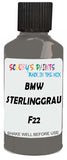 Detail brush applying Grey Solid to a small door scratch on an Bmw M-Series, clean OEM finish