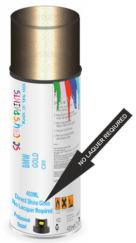 paint for Bmw Motorcycle
