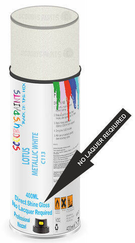 paint for Lotus Evora