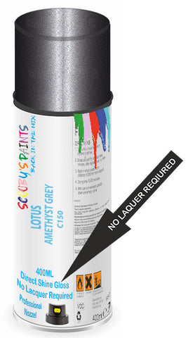 paint for LOTUS 